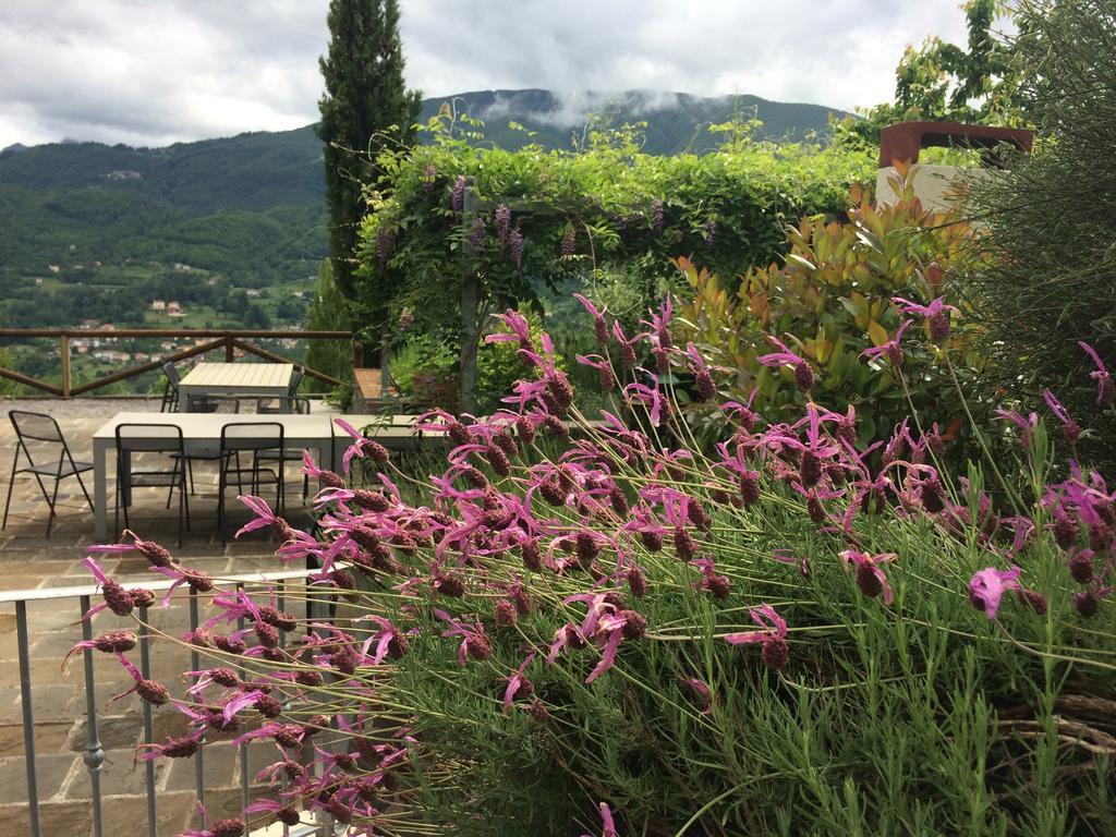 皮耶韦福斯切纳 Agriturismo Braccicorti酒店 外观 照片