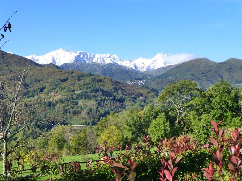 皮耶韦福斯切纳 Agriturismo Braccicorti酒店 外观 照片