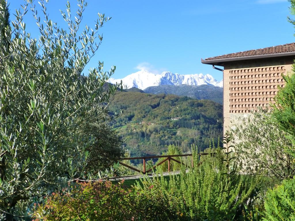 皮耶韦福斯切纳 Agriturismo Braccicorti酒店 外观 照片