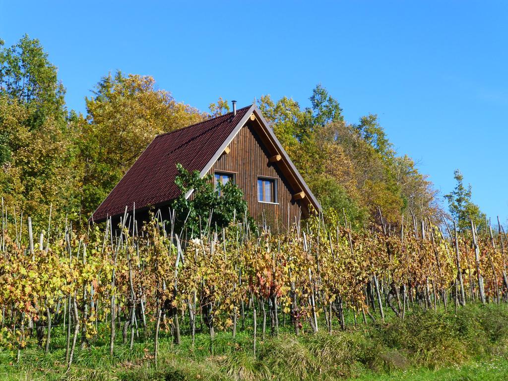 皮耶韦福斯切纳 Agriturismo Braccicorti酒店 外观 照片