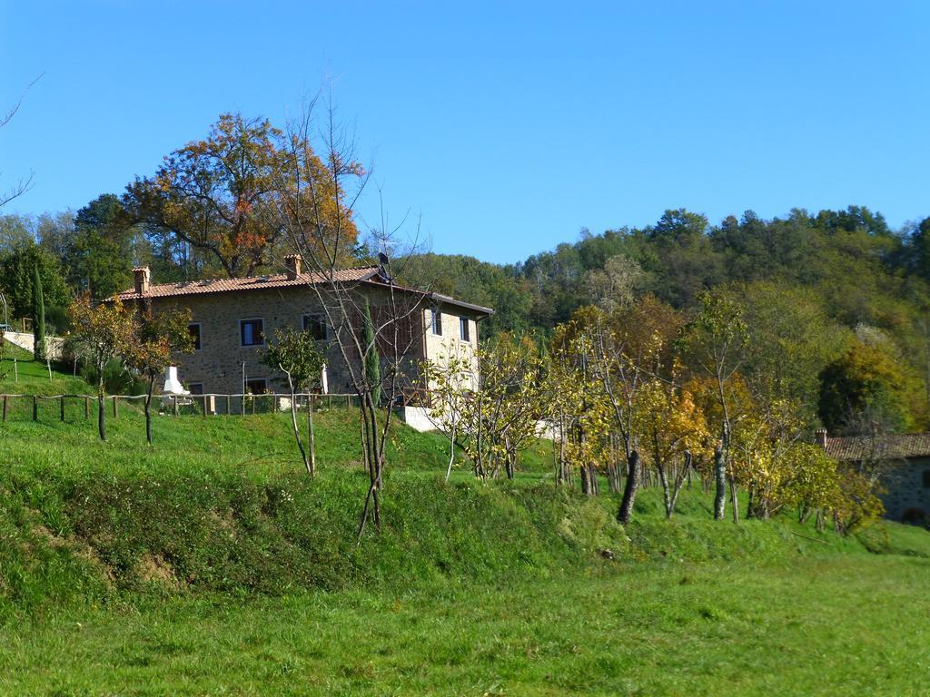 皮耶韦福斯切纳 Agriturismo Braccicorti酒店 外观 照片