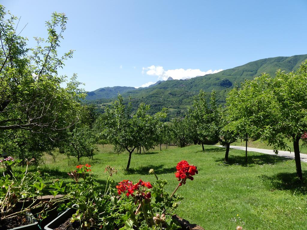 皮耶韦福斯切纳 Agriturismo Braccicorti酒店 外观 照片