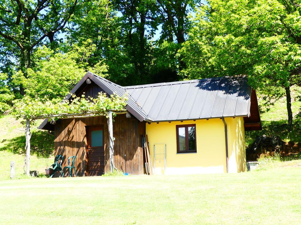 皮耶韦福斯切纳 Agriturismo Braccicorti酒店 外观 照片
